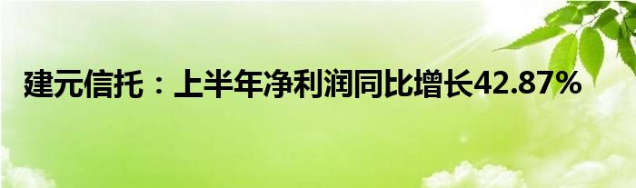 建元信托：上半年净利润同比增长42.87%