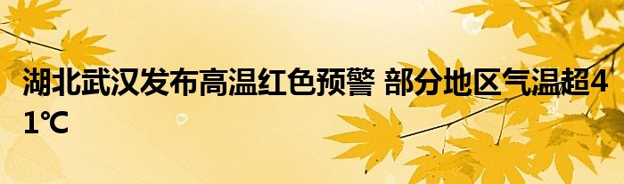 湖北武汉发布高温红色预警 部分地区气温超41℃