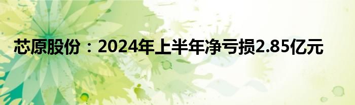 芯原股份：2024年上半年净亏损2.85亿元