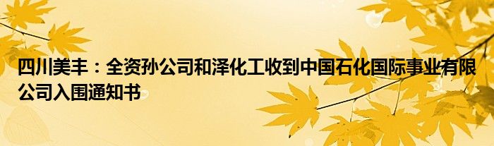 四川美丰：全资孙公司和泽化工收到中国石化国际事业有限公司入围通知书