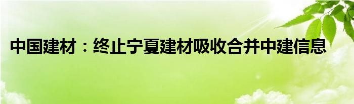 中国建材：终止宁夏建材吸收合并中建信息