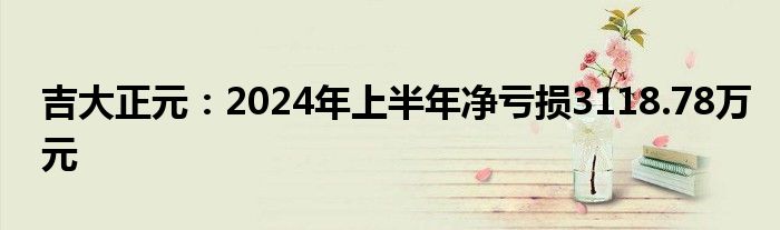 吉大正元：2024年上半年净亏损3118.78万元