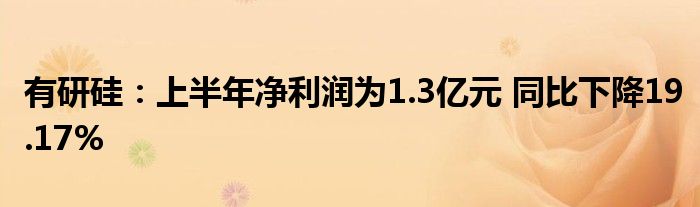 有研硅：上半年净利润为1.3亿元 同比下降19.17%