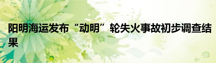 阳明海运发布“动明”轮失火事故初步调查结果