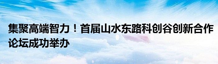 集聚高端智力！首届山水东路科创谷创新合作论坛成功举办