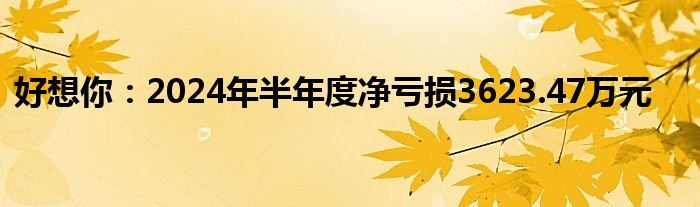 好想你：2024年半年度净亏损3623.47万元