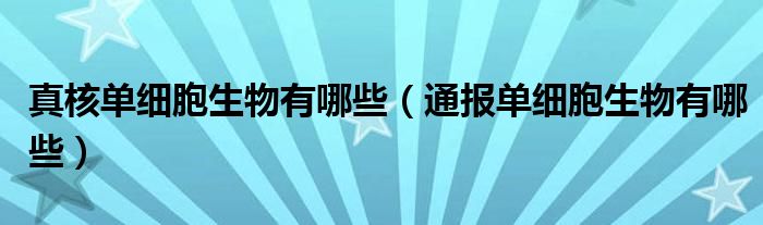 真核单细胞生物有哪些（通报单细胞生物有哪些）