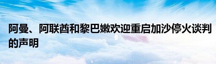 阿曼、阿联酋和黎巴嫩欢迎重启加沙停火谈判的声明