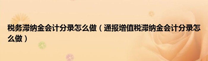 税务滞纳金会计分录怎么做（通报增值税滞纳金会计分录怎么做）