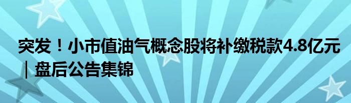 突发！小市值油气概念股将补缴税款4.8亿元｜盘后公告集锦