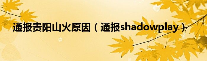 通报贵阳山火原因（通报shadowplay）