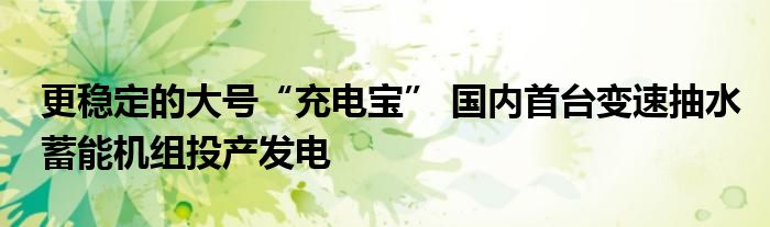 更稳定的大号“充电宝” 国内首台变速抽水蓄能机组投产发电