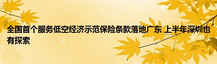 全国首个服务低空经济示范保险条款落地广东 上半年深圳也有探索