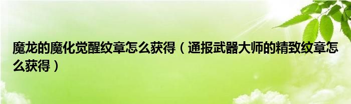 魔龙的魔化觉醒纹章怎么获得（通报武器大师的精致纹章怎么获得）