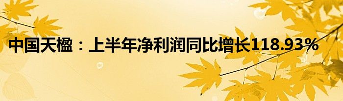 中国天楹：上半年净利润同比增长118.93%