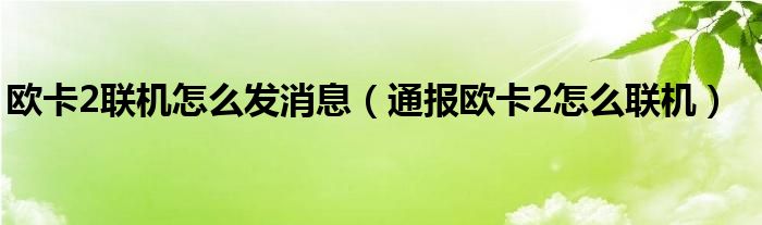 欧卡2联机怎么发消息（通报欧卡2怎么联机）