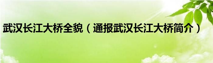 武汉长江大桥全貌（通报武汉长江大桥简介）