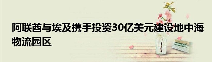 阿联酋与埃及携手投资30亿美元建设地中海物流园区