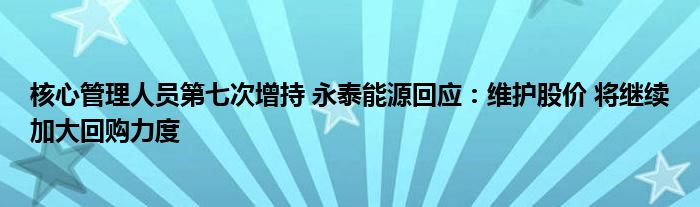 核心管理人员第七次增持 永泰能源回应：维护股价 将继续加大回购力度