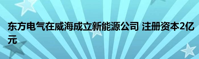 东方电气在威海成立新能源公司 注册资本2亿元