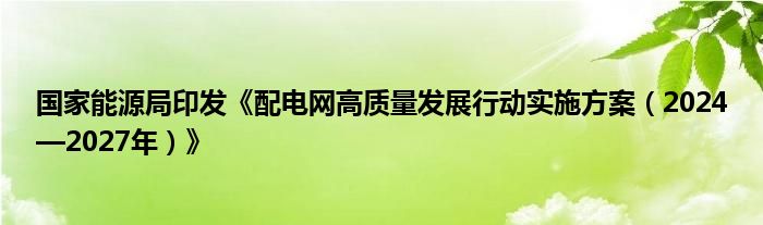 国家能源局印发《配电网高质量发展行动实施方案（2024—2027年）》