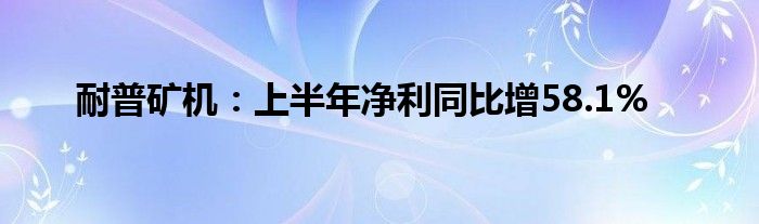 耐普矿机：上半年净利同比增58.1%