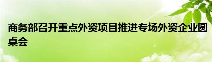 商务部召开重点外资项目推进专场外资企业圆桌会