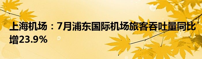 上海机场：7月浦东国际机场旅客吞吐量同比增23.9%