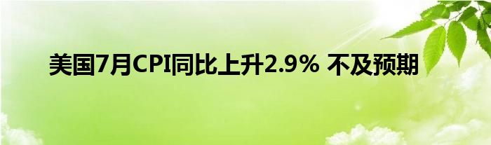 美国7月CPI同比上升2.9% 不及预期