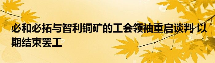 必和必拓与智利铜矿的工会领袖重启谈判 以期结束罢工