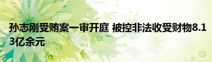 孙志刚受贿案一审开庭 被控非法收受财物8.13亿余元