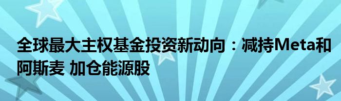 全球最大主权基金投资新动向：减持Meta和阿斯麦 加仓能源股