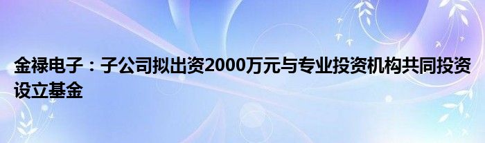 金禄电子：子公司拟出资2000万元与专业投资机构共同投资设立基金