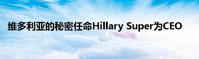 维多利亚的秘密任命Hillary Super为CEO