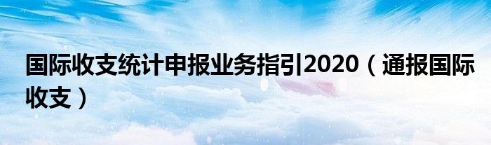 国际收支统计申报业务指引2020（通报国际收支）