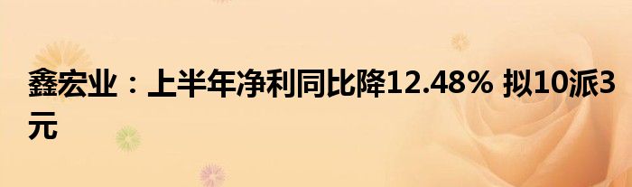 鑫宏业：上半年净利同比降12.48% 拟10派3元