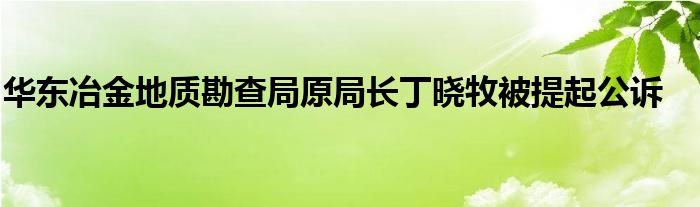 华东冶金地质勘查局原局长丁晓牧被提起公诉