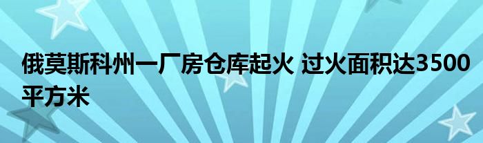 俄莫斯科州一厂房仓库起火 过火面积达3500平方米