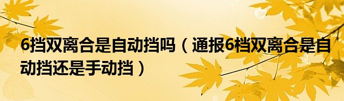 6挡双离合是自动挡吗（通报6档双离合是自动挡还是手动挡）