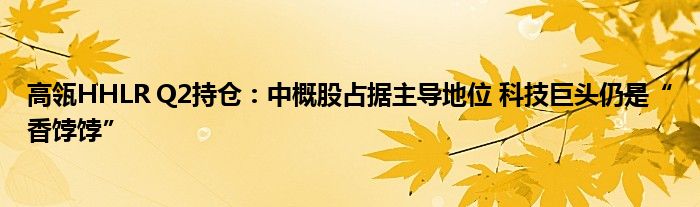 高瓴HHLR Q2持仓：中概股占据主导地位 科技巨头仍是“香饽饽”