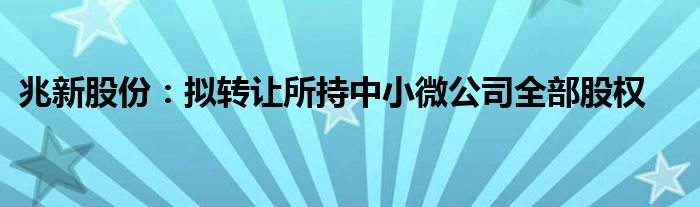 兆新股份：拟转让所持中小微公司全部股权