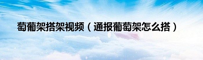 萄葡架搭架视频（通报葡萄架怎么搭）