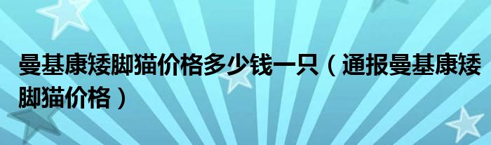 曼基康矮脚猫价格多少钱一只（通报曼基康矮脚猫价格）