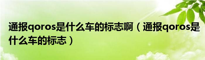 通报qoros是什么车的标志啊（通报qoros是什么车的标志）