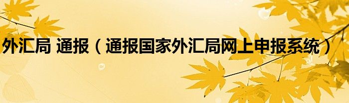 外汇局 通报（通报国家外汇局网上申报系统）