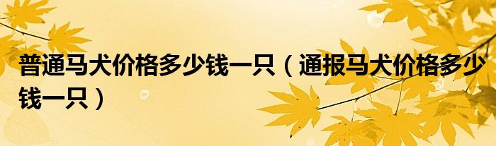 普通马犬价格多少钱一只（通报马犬价格多少钱一只）