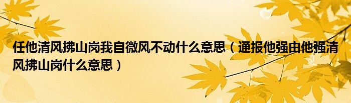 任他清风拂山岗我自微风不动什么意思（通报他强由他强清风拂山岗什么意思）