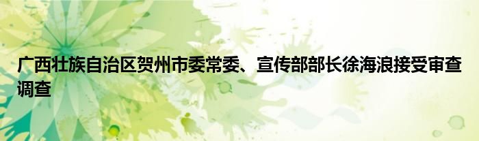 广西壮族自治区贺州市委常委、宣传部部长徐海浪接受审查调查