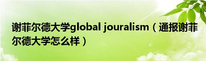 谢菲尔德大学global jouralism（通报谢菲尔德大学怎么样）