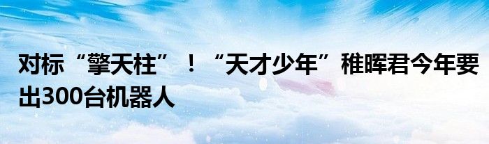 对标“擎天柱”！“天才少年”稚晖君今年要出300台机器人